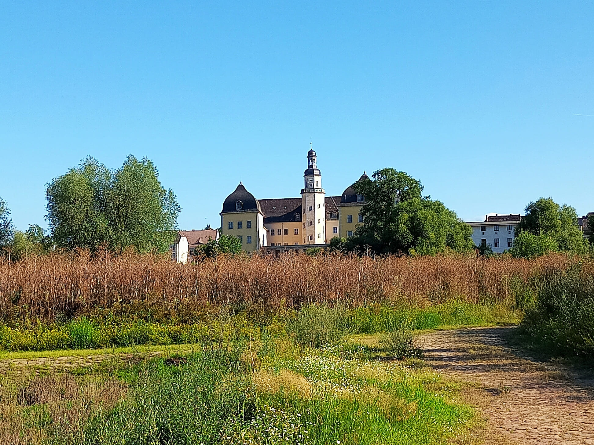 Schloss Coswig (Anhalt) 